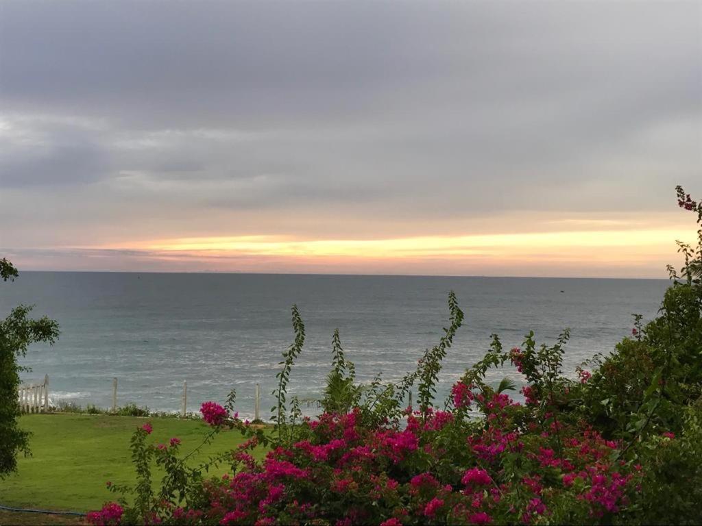 Peacock Beach Hotel Хамбантота Екстер'єр фото